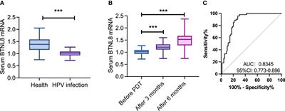 Evaluation of the impacts of photodynamic therapy on the prognosis of patients with hrHPV infection based on BTNL8 expression